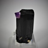 Schorl, Quartz (variety amethyst)
115 mm x 80 mm x 65 mm
(Autor: Don Lum)