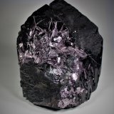 Schorl (Tourmaline Group), Muscovite
29 cm x 25 cm x 22.5 cm
(Autor: Don Lum)