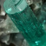 Beryl (variety emerald), Albite (variety cleavelandite), Dolomite, Pyrite
109x41x64mm, main xl=34mm
(Autor: Fiebre Verde)