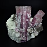 Elbaite (Tourmaline Group), Quartz (variety smoky quartz), Albite (variety cleavelandite)
22.5 cm x 22.2 cm x 17.2 cm
(Autor: Don Lum)