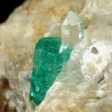 Beryl (variety emerald), Calcite, Quartz
52x32x40mm, main xl=10mm
(Autor: Fiebre Verde)