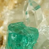 Beryl (variety emerald), Calcite, Quartz
52x32x40mm, main xl=10mm
(Autor: Fiebre Verde)