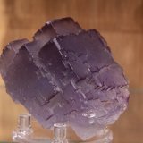 Fluorite
61mm x 56mm x 51mm
(Autor: Firmo Espinar)