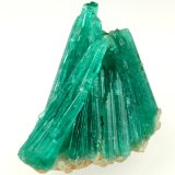 Beryl (variety emerald), Albite (variety cleavelandite)
20mm across
(Autor: Fiebre Verde)