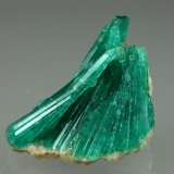 Beryl (variety emerald), Albite (variety cleavelandite)
20mm across
(Autor: Fiebre Verde)
