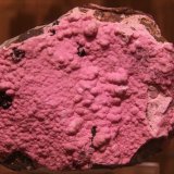 Dolomite (variety cobaltoan dolomite)
96mm x 74mm x 56mm
(Autor: Firmo Espinar)
