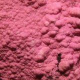 Dolomite (variety cobaltoan dolomite)
96mm x 74mm x 56mm
(Autor: Firmo Espinar)