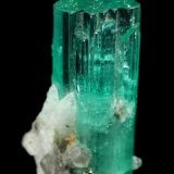 Beryl (variety emerald), Albite (variety cleavelandite), Pyrite, Calcite
33mm
(Autor: Fiebre Verde)
