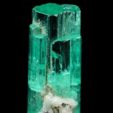 Beryl (variety emerald), Albite (variety cleavelandite), Pyrite, Calcite
33mm
(Autor: Fiebre Verde)