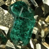 Beryl (variety emerald) and Pyrite
Detail - xl length=6mm
(Autor: Fiebre Verde)