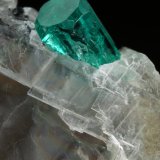 Beryl (variety emerald), Calcite
33x26x18mm (calcite xl), xls=8.5 &amp; 4mm
(Autor: Fiebre Verde)
