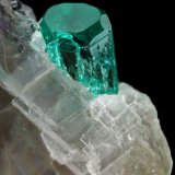 Beryl (variety emerald), Calcite
33x26x18mm (calcite xl), xls=8.5 &amp; 4mm
(Autor: Fiebre Verde)
