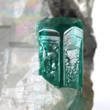 Beryl (variety emerald), Calcite
33x26x18mm (calcite xl), xls=8.5 &amp; 4mm
(Autor: Fiebre Verde)