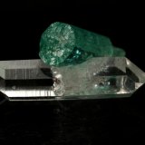 Beryl (variety emerald), Quartz
Beryl=9mm  Quartz=13mm
(Autor: Fiebre Verde)