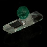Beryl (variety emerald), Quartz
Beryl=9mm  Quartz=13mm
(Autor: Fiebre Verde)