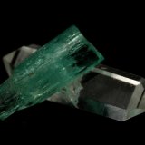 Beryl (variety emerald), Quartz
Beryl=9mm  Quartz=13mm
(Autor: Fiebre Verde)