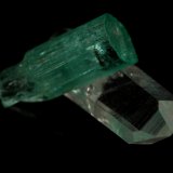 Beryl (variety emerald), Quartz
Beryl=9mm  Quartz=13mm
(Autor: Fiebre Verde)