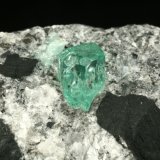 Beryl (variety emerald), Calcite, Pyrite
xl=7mm
(Autor: Fiebre Verde)