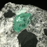 Beryl (variety emerald), Calcite, Pyrite
xl=7mm
(Autor: Fiebre Verde)