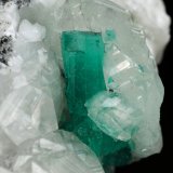 Beryl (variety emerald), Calcite
45x47x32mm, xl=15mm
(Autor: Fiebre Verde)