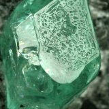Beryl (variety emerald), Calcite, Pyrite
xl=7mm
(Autor: Fiebre Verde)