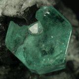 Beryl (variety emerald), Calcite
Emerald crystal = 10mm
(Autor: Fiebre Verde)