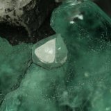 Beryl (variety emerald), Calcite
Emerald crystal = 10mm
(Autor: Fiebre Verde)