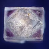 Fluorite
1.3 cm
(Autor: Bob Carnein)