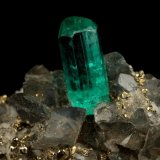 Beryl (variety emerald), Calcite, Pyrite
19x14x21mm, xl=7mm
(Autor: Fiebre Verde)