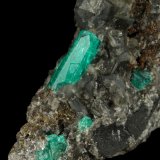 Beryl (variety emerald), Calcite, Pyrite
43x85x85mm, xl=13mm
(Autor: Fiebre Verde)