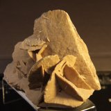 Gypsum
11cm x 7cm x 11 cm
(Autor: Firmo Espinar)