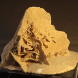 Gypsum
11cm x 7cm x 11 cm
(Autor: Firmo Espinar)