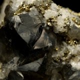 Beryl (variety emerald), Calcite, Pyrite
19x14x21mm, xl=7mm
(Autor: Fiebre Verde)