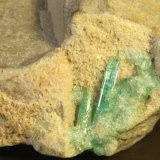 Beryl (variety emerald)
73mm x 84mm x 43 mm
(Autor: Firmo Espinar)