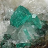 Beryl (variety emerald), Calcite, Quartz
40x44x41mm, xls up to 5mm
(Autor: Fiebre Verde)