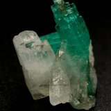 Beryl (variety emerald)
xls=12mm (aggregate) 
(Autor: Fiebre Verde)