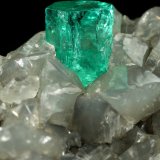 Beryl (variety emerald), Calcite, Dolomite
81x58x36mm, xls up to 6mm
(Autor: Fiebre Verde)