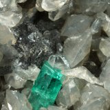 Beryl (variety emerald), Calcite, Dolomite
81x58x36mm, xls up to 6mm
(Autor: Fiebre Verde)