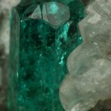 Beryl (variety emerald), Calcite, Pyrite
Detail - xl=9mm
(Autor: Fiebre Verde)