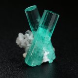 Beryl (variety emerald), Albite (variety cleavelandite), Pyrite
both crystals are 15mm long
(Autor: Fiebre Verde)