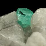 Beryl (Var. Emerald), Calcite, Pyrite
85x62x64mm, xl=8x9mm
(Autor: Fiebre Verde)