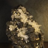 Sphalerite, Pyrite and Quartz
67mm x 90mm x 42mm
(Autor: Firmo Espinar)