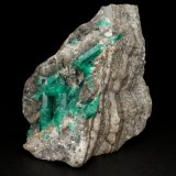 Beryl (variety emerald), Calcite, Pyrite
59x40x41mm, largest xl=20mm
(Autor: Fiebre Verde)