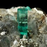 Beryl (variety emerald), Albite (variety cleavelandite), Pyrite, Calcite
44x23x24mm, main xl=8mm
(Autor: Fiebre Verde)