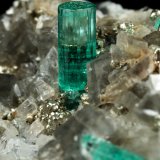 Beryl (variety emerald), Albite (variety cleavelandite), Pyrite, Calcite
44x23x24mm, main xl=8mm
(Autor: Fiebre Verde)