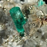 Beryl (variety emerald), Albite (variety cleavelandite), Pyrite, Calcite
44x23x24mm, main xl=8mm
(Autor: Fiebre Verde)