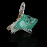 Beryl (variety emerald), Quartz
xl=11.5mm x 12mm
(Autor: Fiebre Verde)