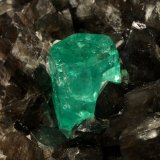 Beryl (variety emerald), Calcite, Pyrite
78x53x78mm, xls= 11x9mm &amp; 15x12mm
(Autor: Fiebre Verde)