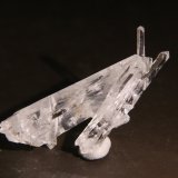 Quartz
52mm x 32mm x 26mm
(Autor: Firmo Espinar)