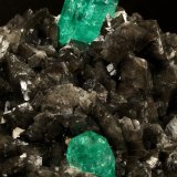Beryl (variety emerald), Calcite, Pyrite
78x53x78mm, xls= 11x9mm &amp; 15x12mm
(Autor: Fiebre Verde)